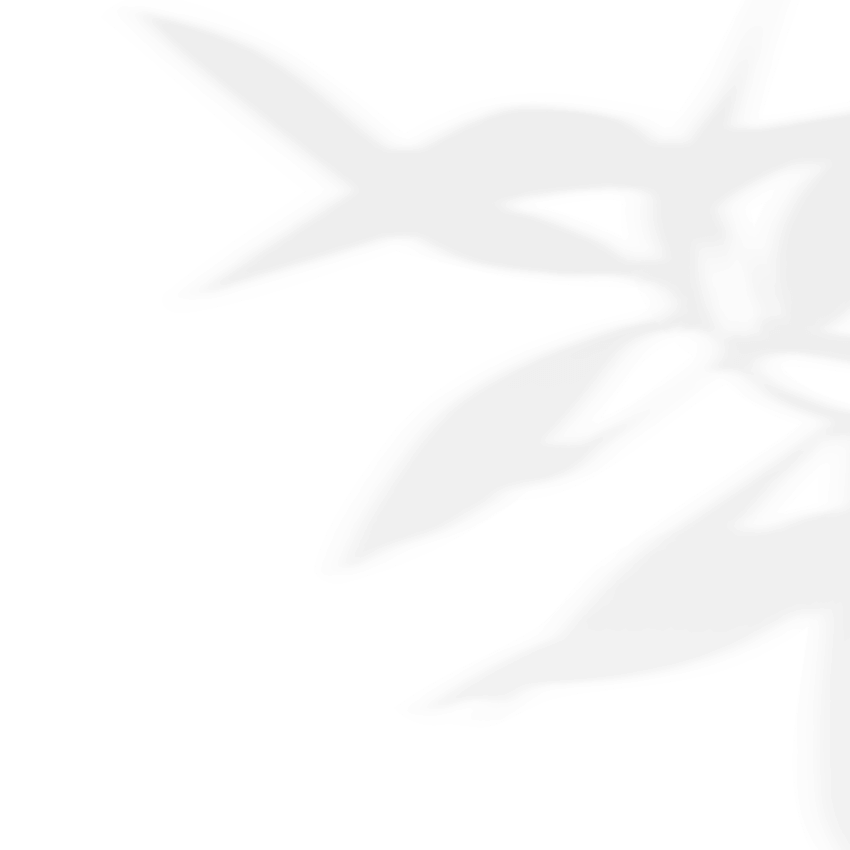 https://weddingsincroatia.com.hr/wp-content/uploads/2020/11/shadow_leaves_03.png